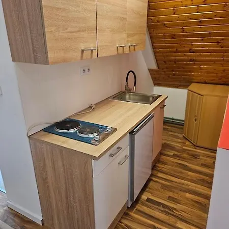 Donaublick 2 In Stifterstrasse 19a Grein